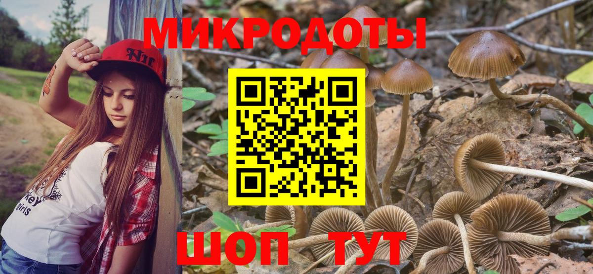 Галлюциногенные грибы MAGIC MUSHROOMS Валуйки