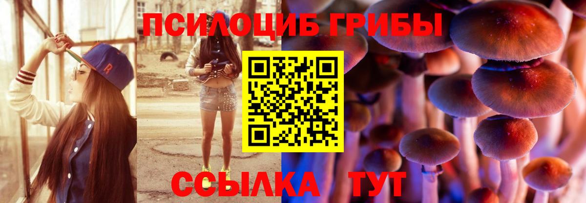 Галлюциногенные грибы Psilocybine cubensis  Вход с VPN  магазин  наркотиков  Псилоцибиновые грибы мицелий  Валуйки 